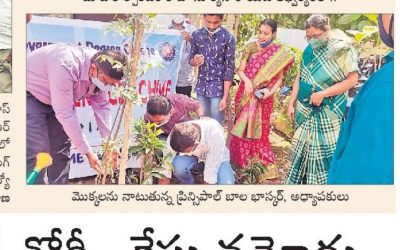 Plantations in College Premises